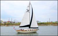 Jolly Roger graphic on mainsail
