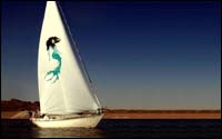 mermaid graphic on drifter