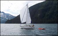 white spinnaker