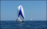 FX Spinnaker