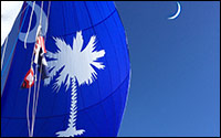 FX Spinnaker with custom graphic